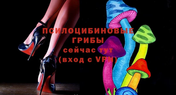 крисы Елабуга