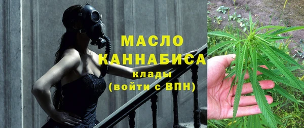 крисы Елабуга