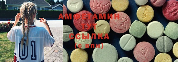 крисы Елабуга