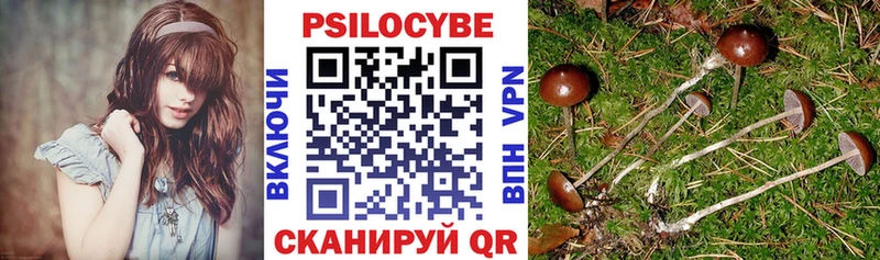 Псилоцибиновые грибы GOLDEN TEACHER  как найти наркотики  Унеча 