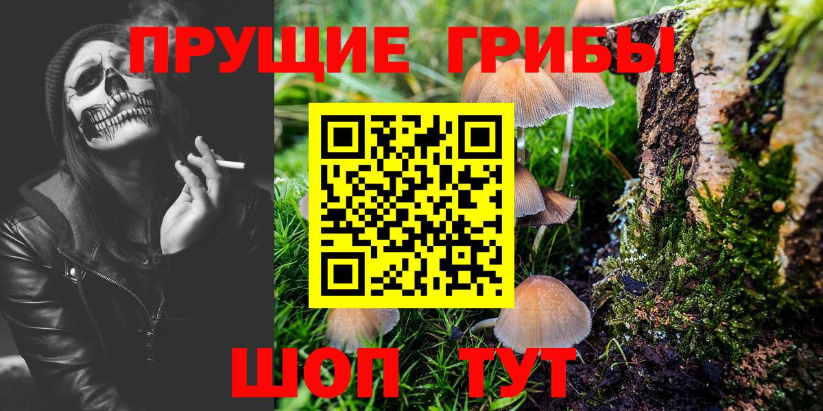 Псилоцибиновые грибы мицелий Унеча
